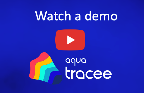 Tracee Live Demo AND Q&A